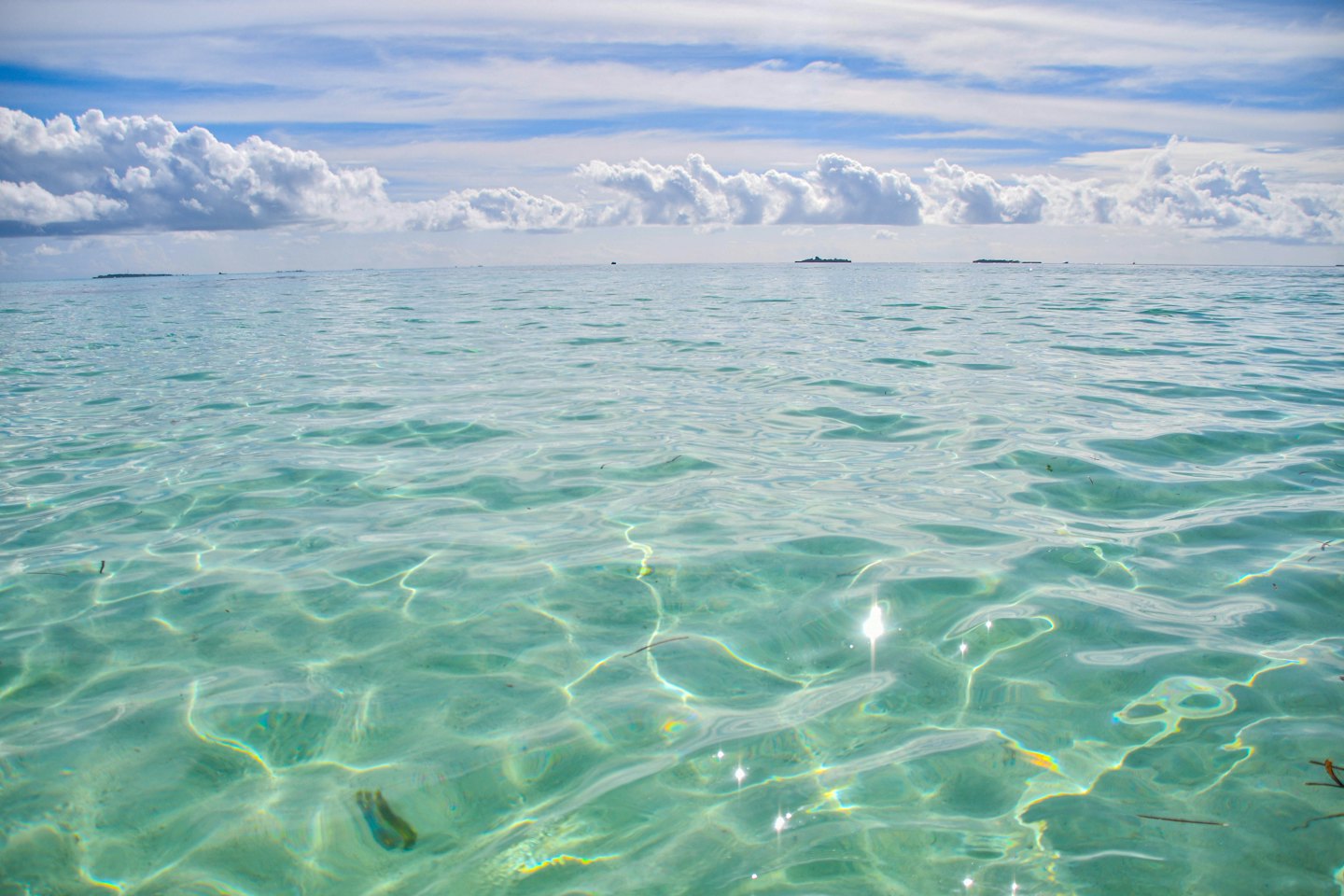 Agua cristalina ondula sobre un fondo marino arenoso.